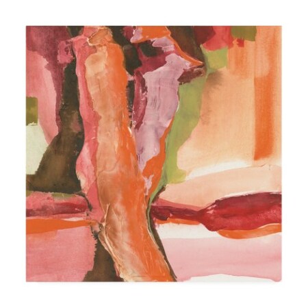Trademark Fine Art Chris Paschke 'Rio Pink And Brown' Canvas Art, 14x14 WAP11059-C1414GG